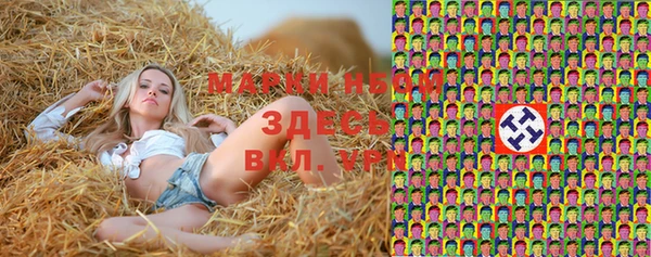 альфа пвп Бородино