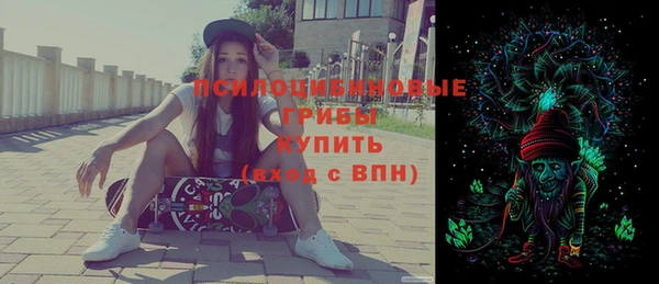 альфа пвп Бородино