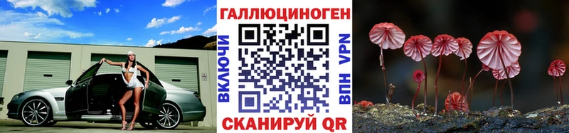 Галлюциногенные грибы прущие грибы Калуга