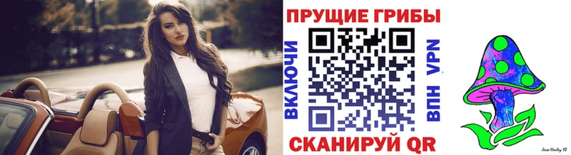 OMG вход Калуга Псилоцибиновые грибы прущие грибы