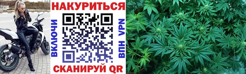 Каннабис Bruce Banner  Калуга 